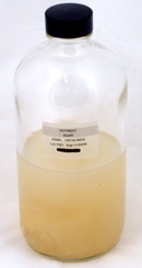 Nutrient Agar - 250ml Bottle