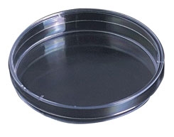 100mm Plastic Petri Dishes- Pack of 20