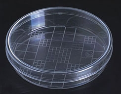100mm Plastic Petri Dishes with grid - Pack of 20