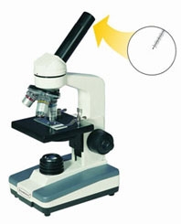 Student Microscope with DIN Objectives