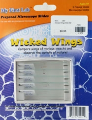 Wicked Wings Slide Set