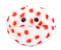 Giant Microbes - Measles