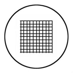 Microscope Eyepiece Reticle - Grid with 1mm increments 19mm diameter