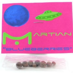 Martian Blueberries