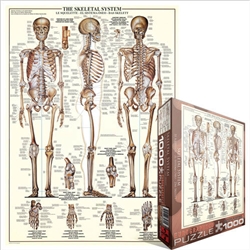 Human Skeletal System 1000 piece Puzzle