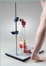Biomechanical Leg Kit