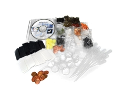 Many Mini Minerals Student Kit