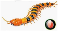 Remote Control Centipede