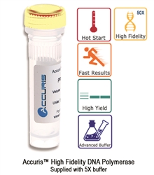 Accuris High Fidelity DNA Polymerase 200 units