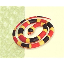 Rubber Coral Snake 26