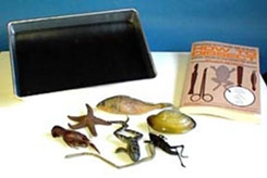 Complete Dissecting Kit- 15 Pc.