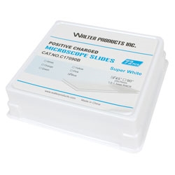 Positive Charged Microscope Slides pk/72