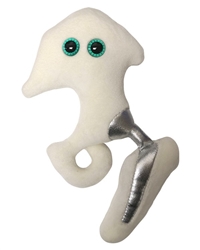 Giant Microbes- Hip Replacement