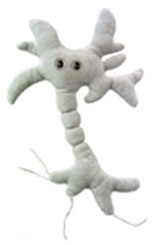 Giant Microbes- Brain Cell