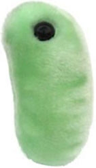 Giant Microbes- The Flu